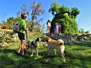 55 Al bel roccolo di Cassarielli bell'incontro ravvicinato per Nina
